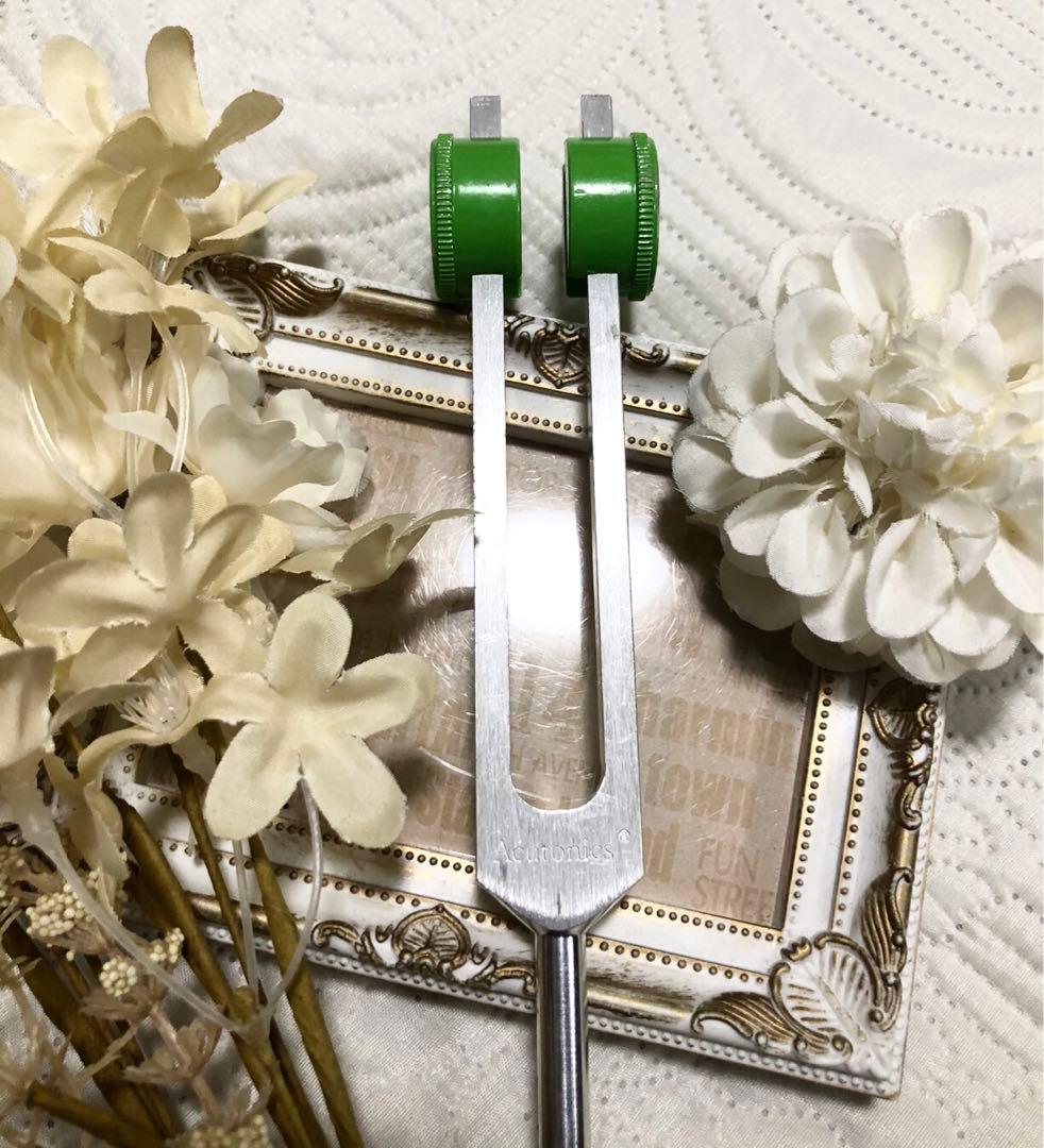 アキュトニクス　コズミックチューン　惑星音叉　キロン　ミドルヘヴィーフォーク