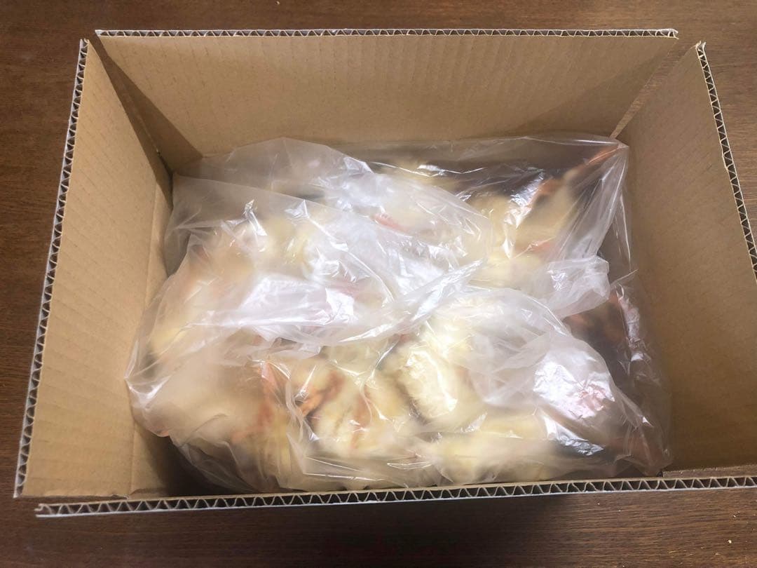 ヒヨコ　600羽　ふわふわ鮮度抜群！