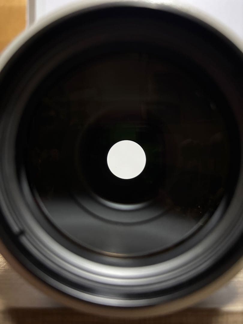 レンズ(ズーム) Canon EF 70-300 F4-5.6 L IS USM