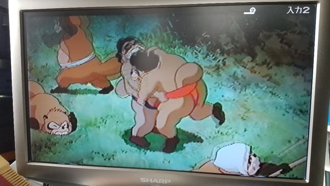 SHARP VTR一体型DVDビデオレコーダーDV-RW100