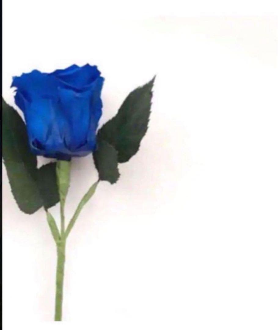 さっこ様 エクストラクレンジングオイル コラゲリード