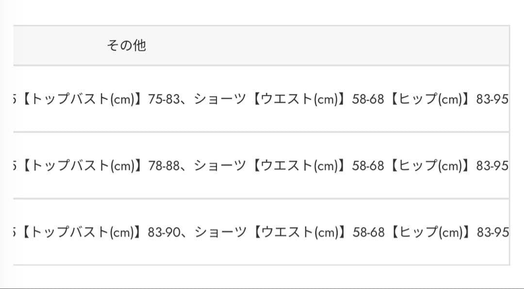 RRロゴバンドゥカップ bikini SET(新品未使用品)