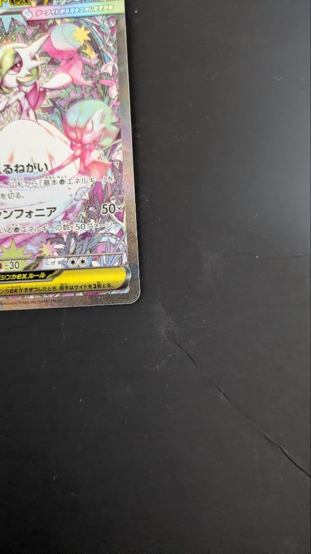 「パパ」メガサーナイトex HP360