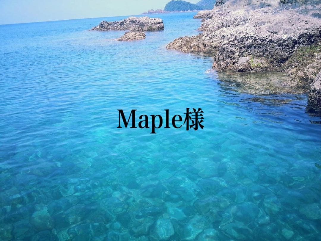 ◎Maple ◎TAMRON 18-400mm F/3.5-6.3