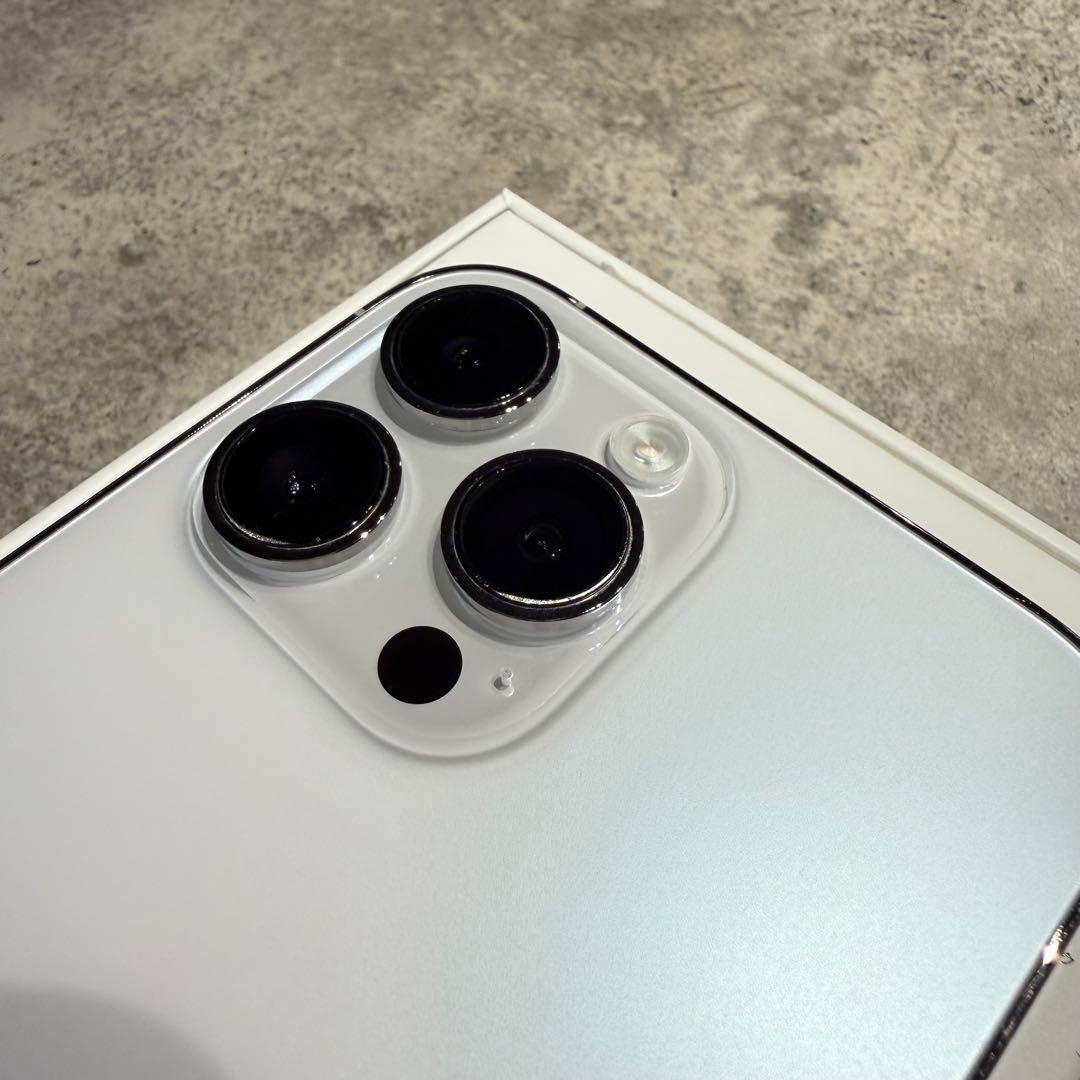 Apple iPhone 14 Pro Max 1TB シルバー　※端子不良