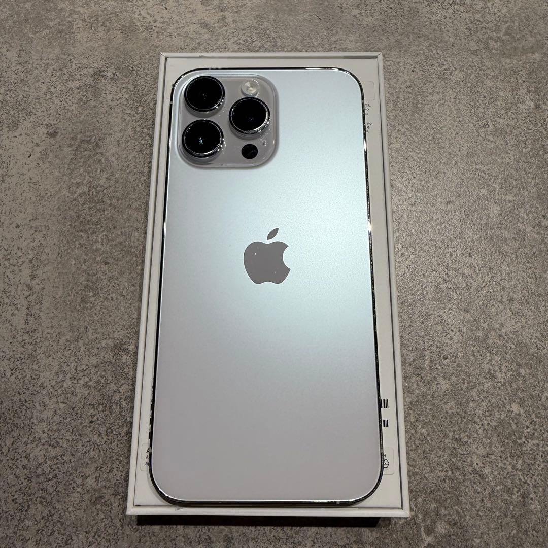 Apple iPhone 14 Pro Max 1TB シルバー　※端子不良