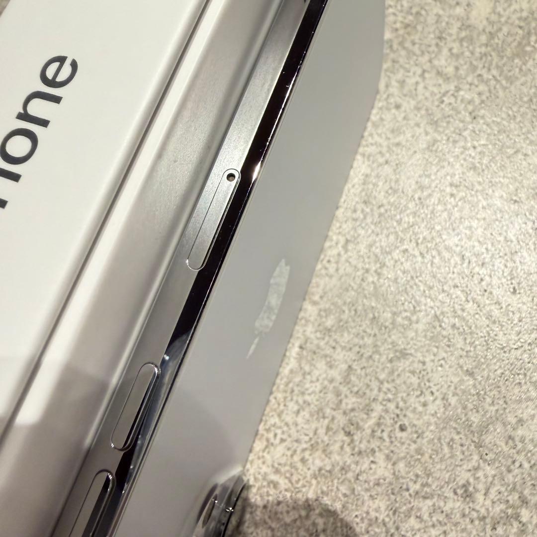 Apple iPhone 14 Pro Max 1TB シルバー　※端子不良