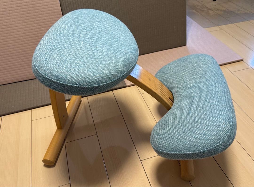 Rybo社 バランスチェア・イージー 純正カバー（ブルー）付