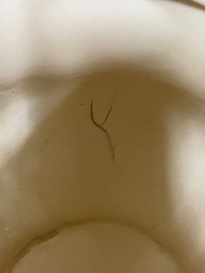 フランスアンティーク　￼サルグミンヌ　カフェポット　花リム