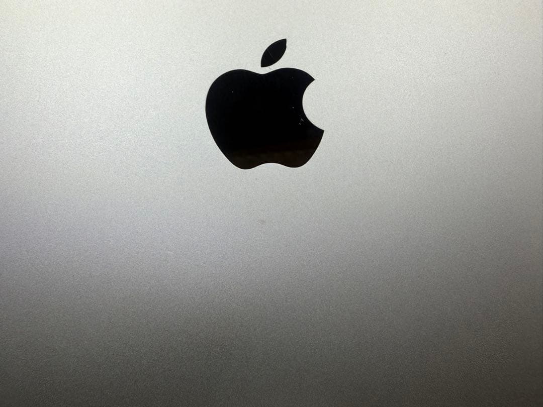 iPad Pro11インチ2世代 256GB セルラーモデル