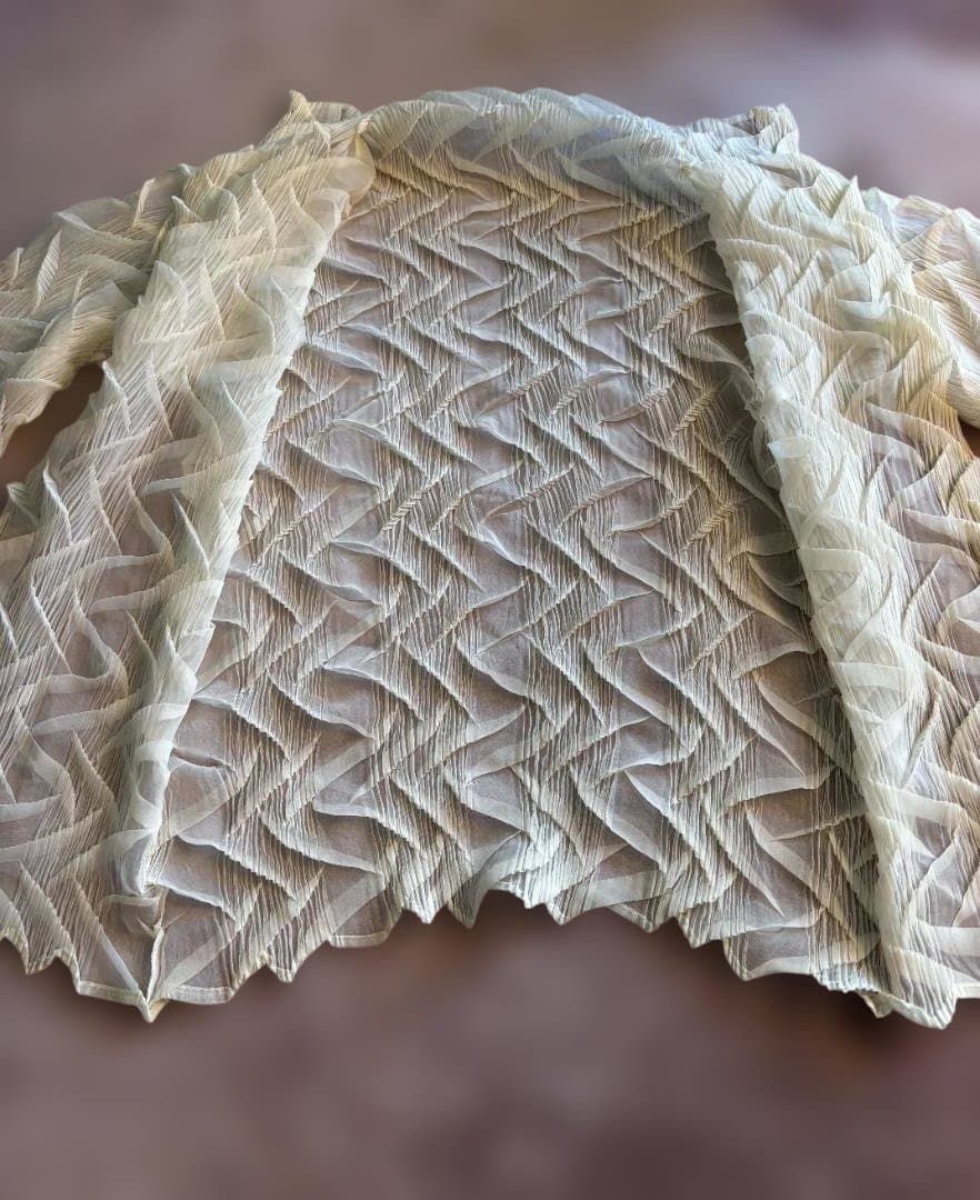 ISSEYMIYAKE　プリーツ 変形シアーシャツ