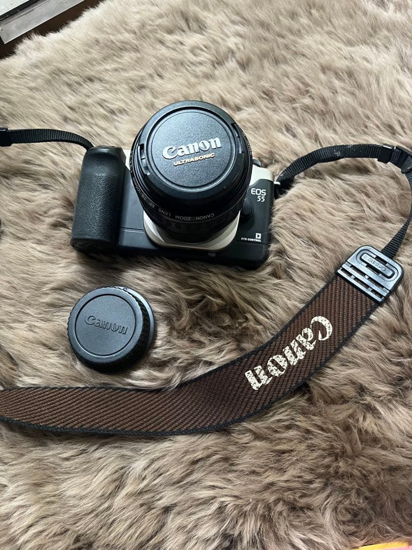 Canon EOS 500N 一眼レフカメラ