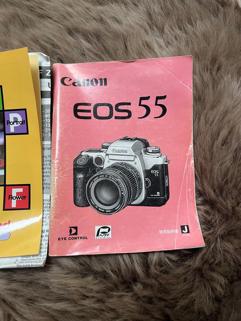 Canon EOS 500N 一眼レフカメラ