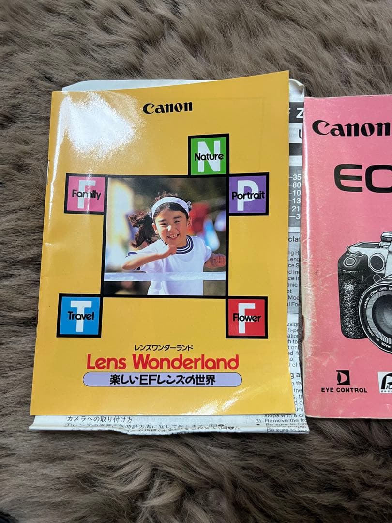 Canon EOS 500N 一眼レフカメラ