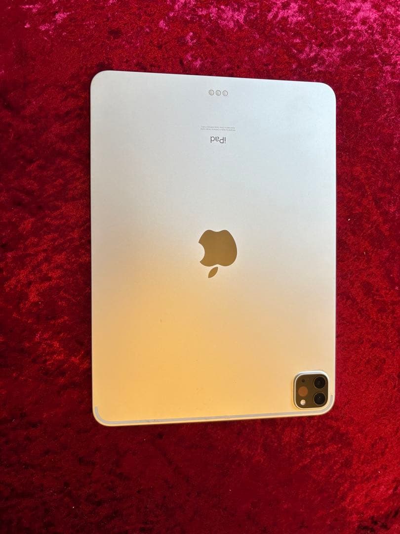 Apple iPad シルバー 11インチ　第2世代　256GB