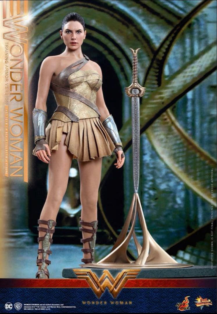 ナ*ス様 ホットトイズ ワンダーウーマン トレーニング・アーマー