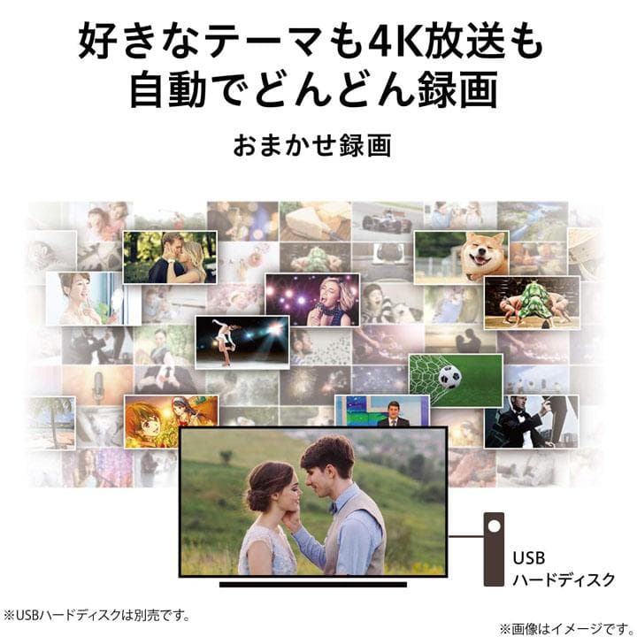 75インチ 送料・設置込 REGZA 75M540X 2画面 チューナー8基