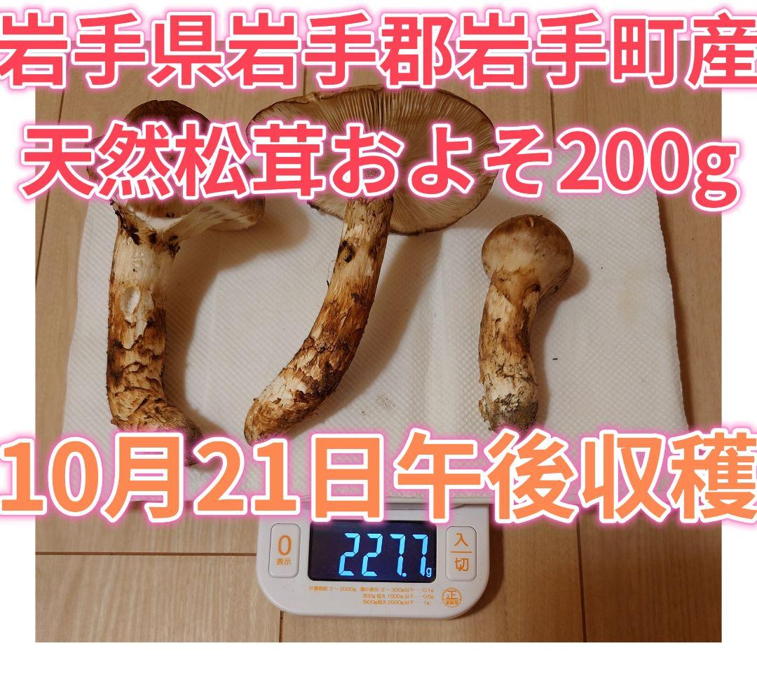 #岩手県岩手郡岩手町産天然松茸およそ200g