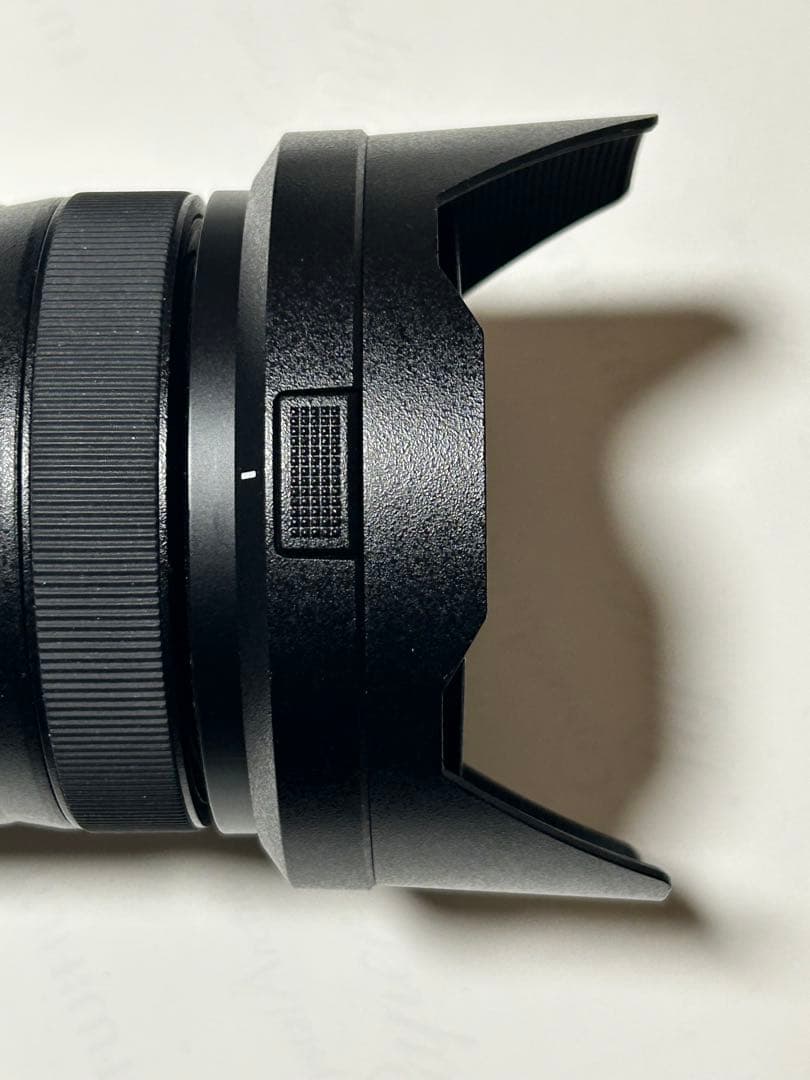 LUMIX 24-105mm レンズ F4 /タバスコ