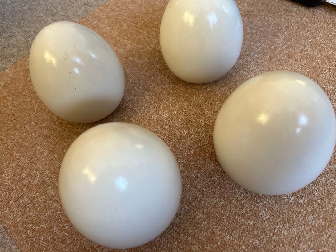 すこやかポット（大）