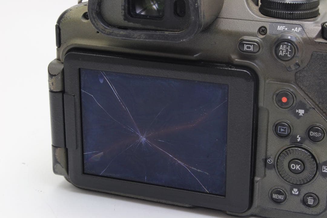 Nikon ニコン COOLPIX P1000 液晶不良 撮影可能