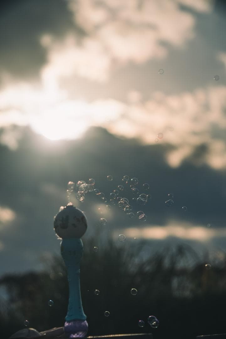 ライカ沼の入口！Leica Hektor 135mm F4.5 オールドレンズ