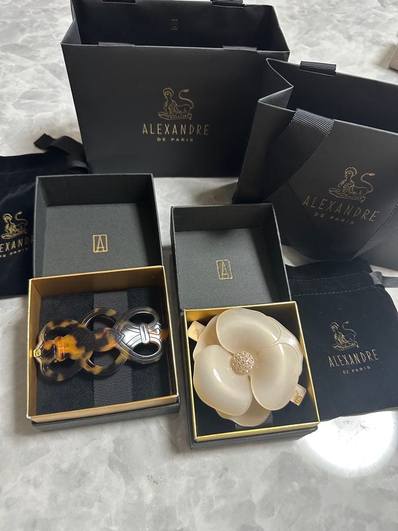 ALEXANDRE DE PARIS ヘアクリップ 2個セット