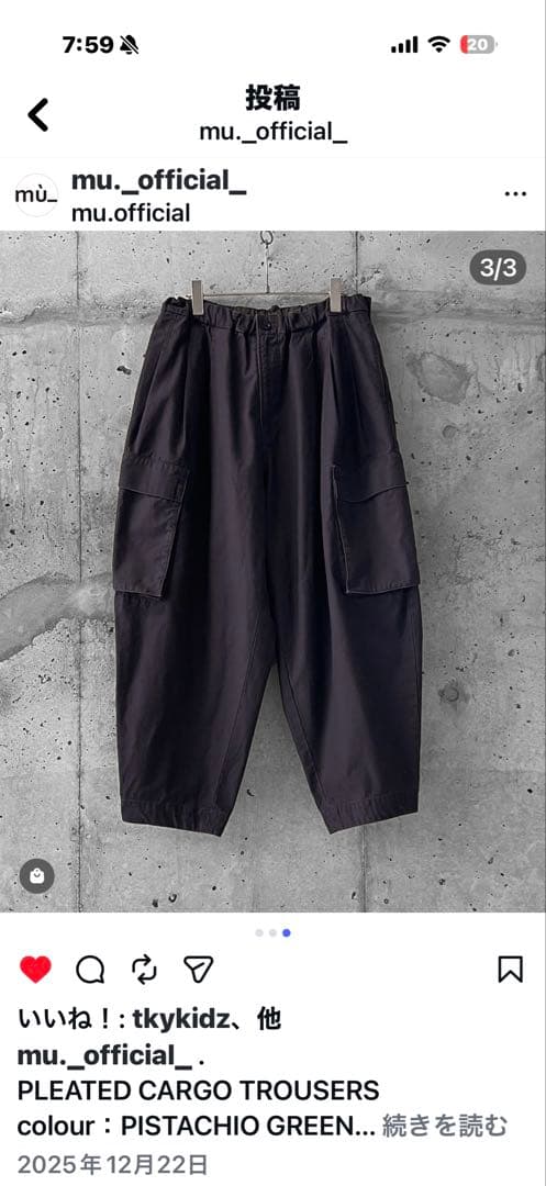 PLEATED CARGO TROUSERS【ブラックベリー】　Sサイズ