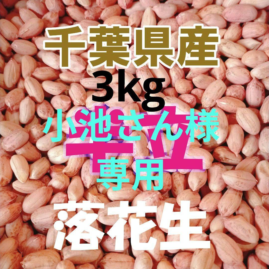 千葉県産★生落花生(新豆)★品種:半立(新物)3000g 剥き実★無農薬