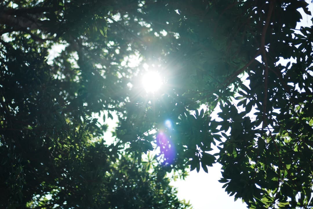 【極美品】動作◎ SONY E 35mm F1.8 OSS 単焦点 987