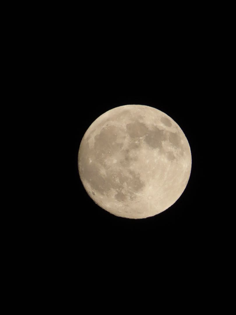 【超美品】Canon Power Shot SX70HS光学65倍