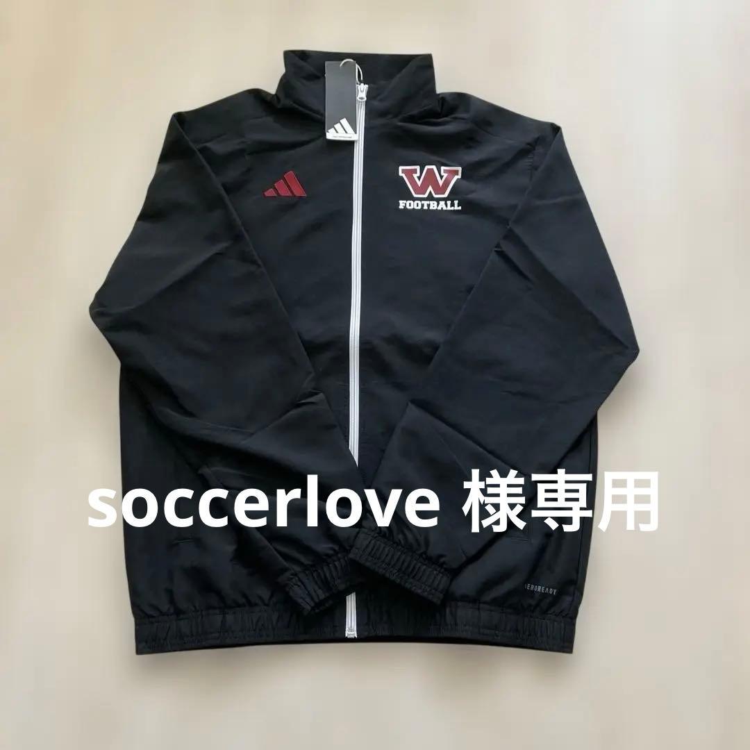 2枚　ピステ＋Tシャツ　早稲田大学アメフトBIG BEARS