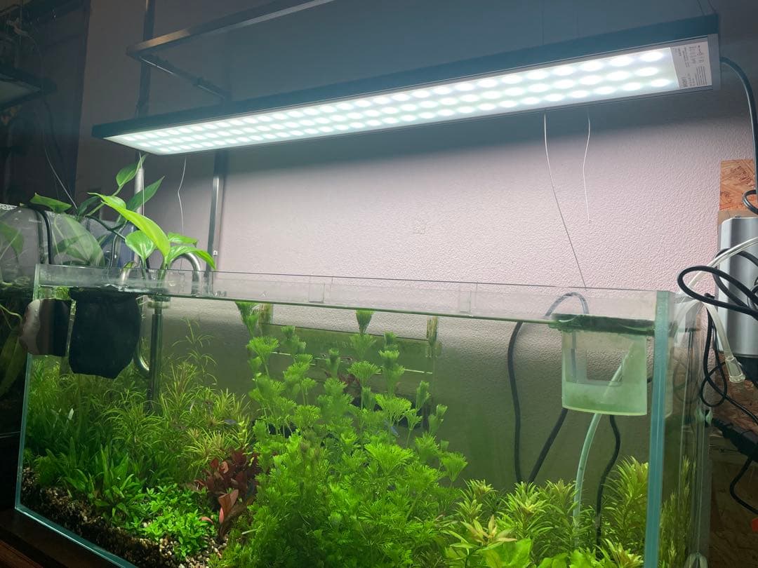 ライト・照明器具 chihiros wrgb2 90