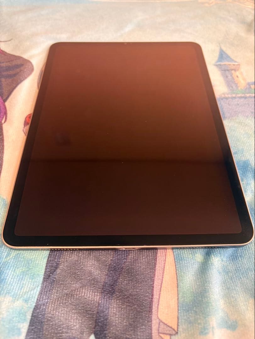 Apple診断済】iPad Pro 11インチ 第2世代 WiFi 256GB