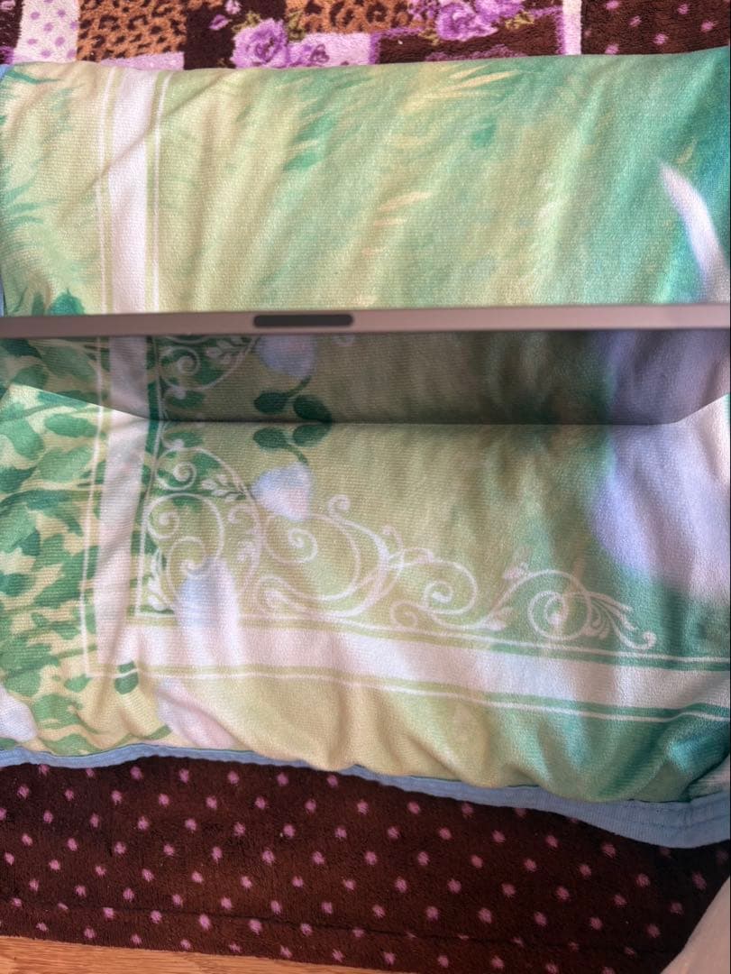 Apple診断済】iPad Pro 11インチ 第2世代 WiFi 256GB