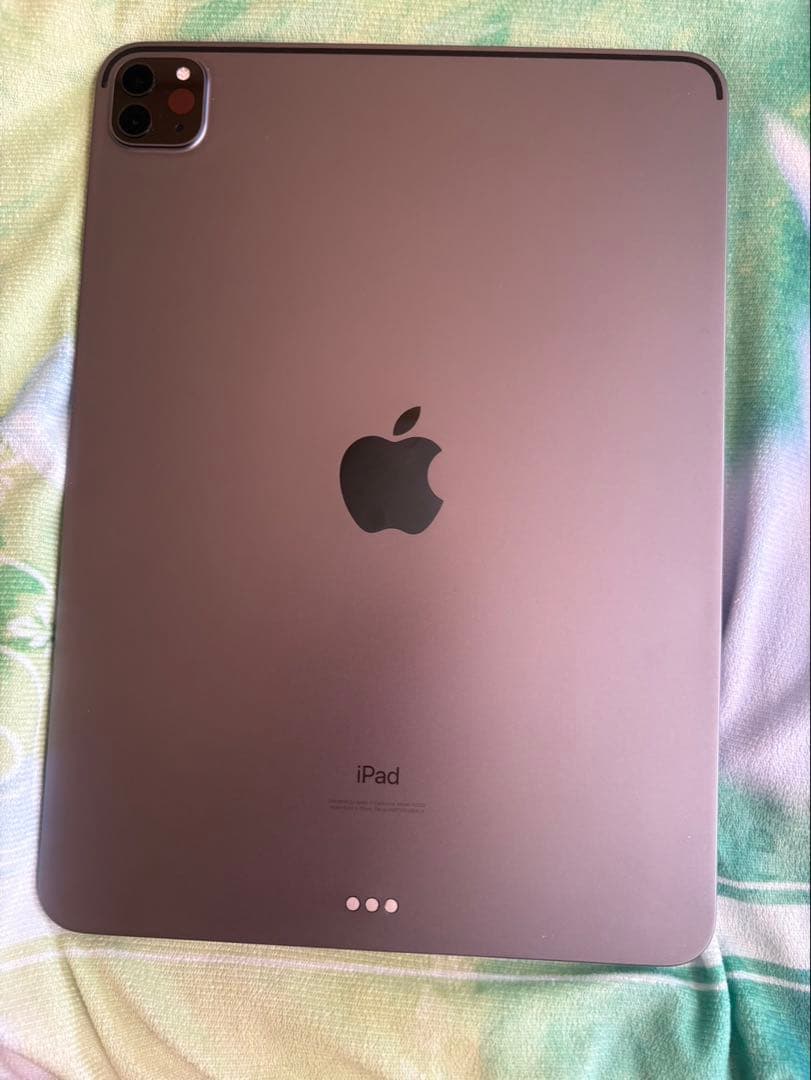 Apple診断済】iPad Pro 11インチ 第2世代 WiFi 256GB