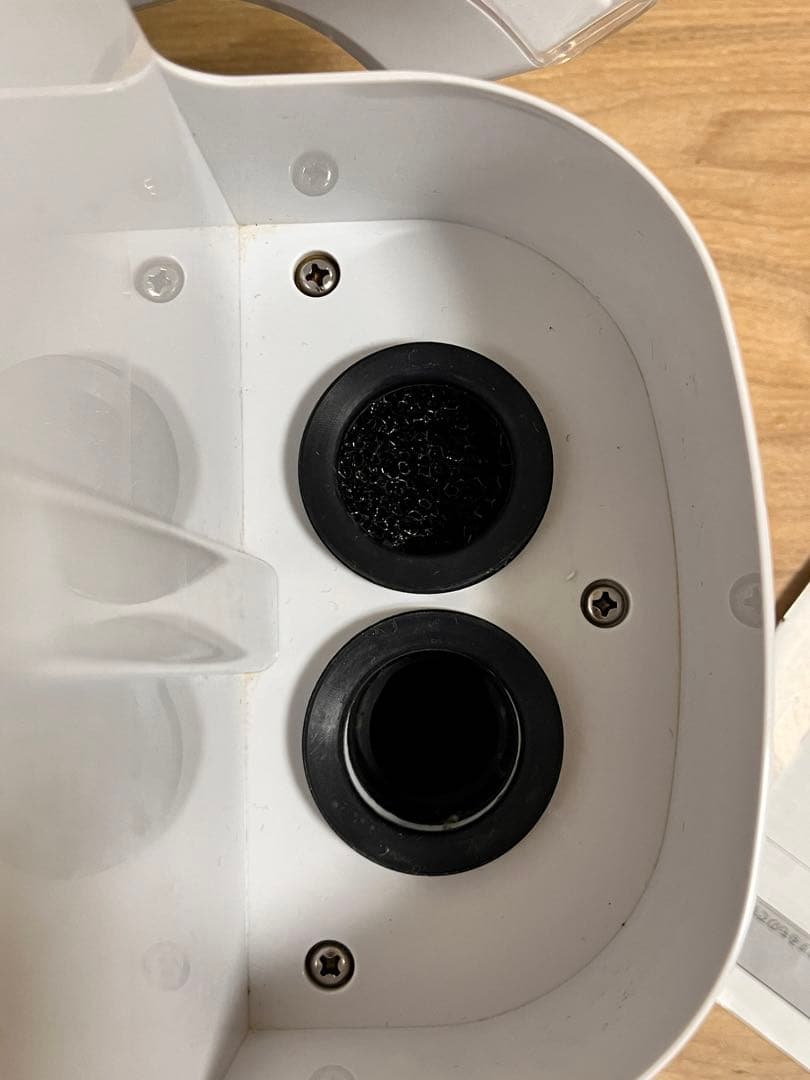 リンサークリーナー　アイリスオーヤマ　rns-p10