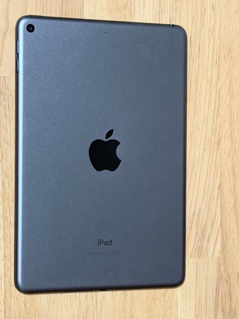 Apple iPad mini 5 本体　256GB wifiモデル