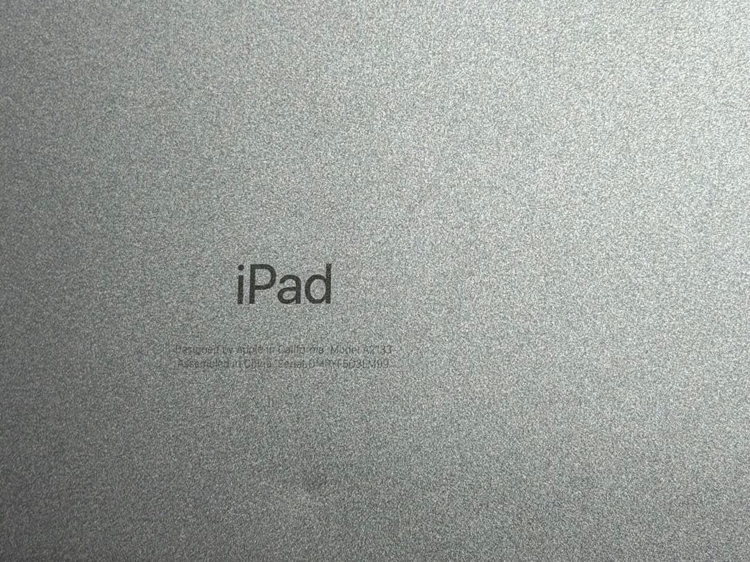 Apple iPad mini 5 本体　256GB wifiモデル