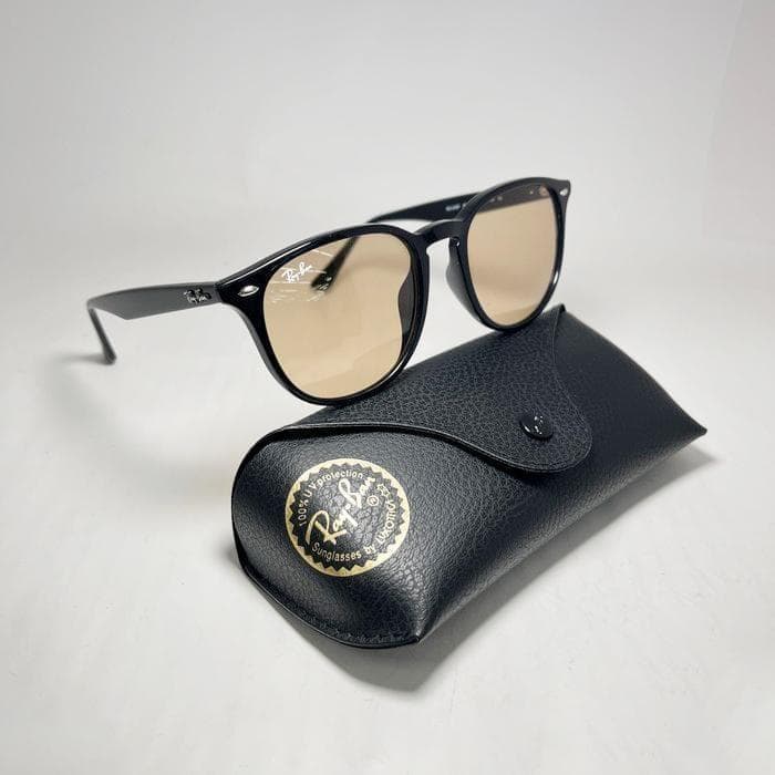 迅速【日本国内正規品】未使用 レイバン サングラス RB4259F-60193
