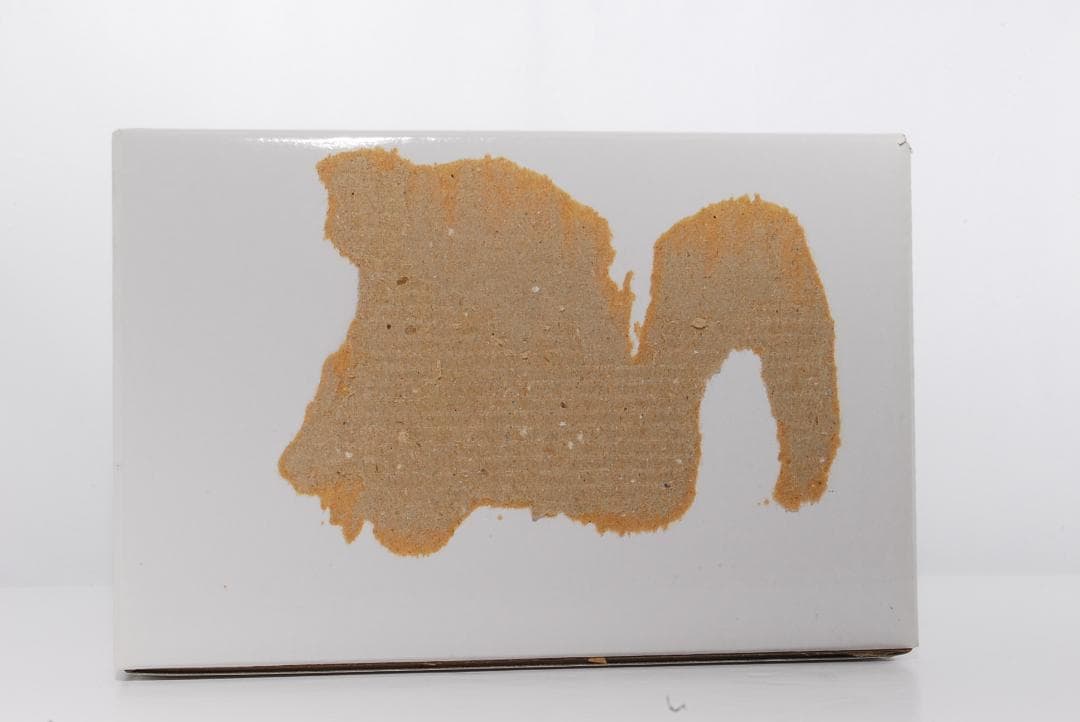 望遠レンズ Canon EF-S 55-250mm F4-5.6 IS STM