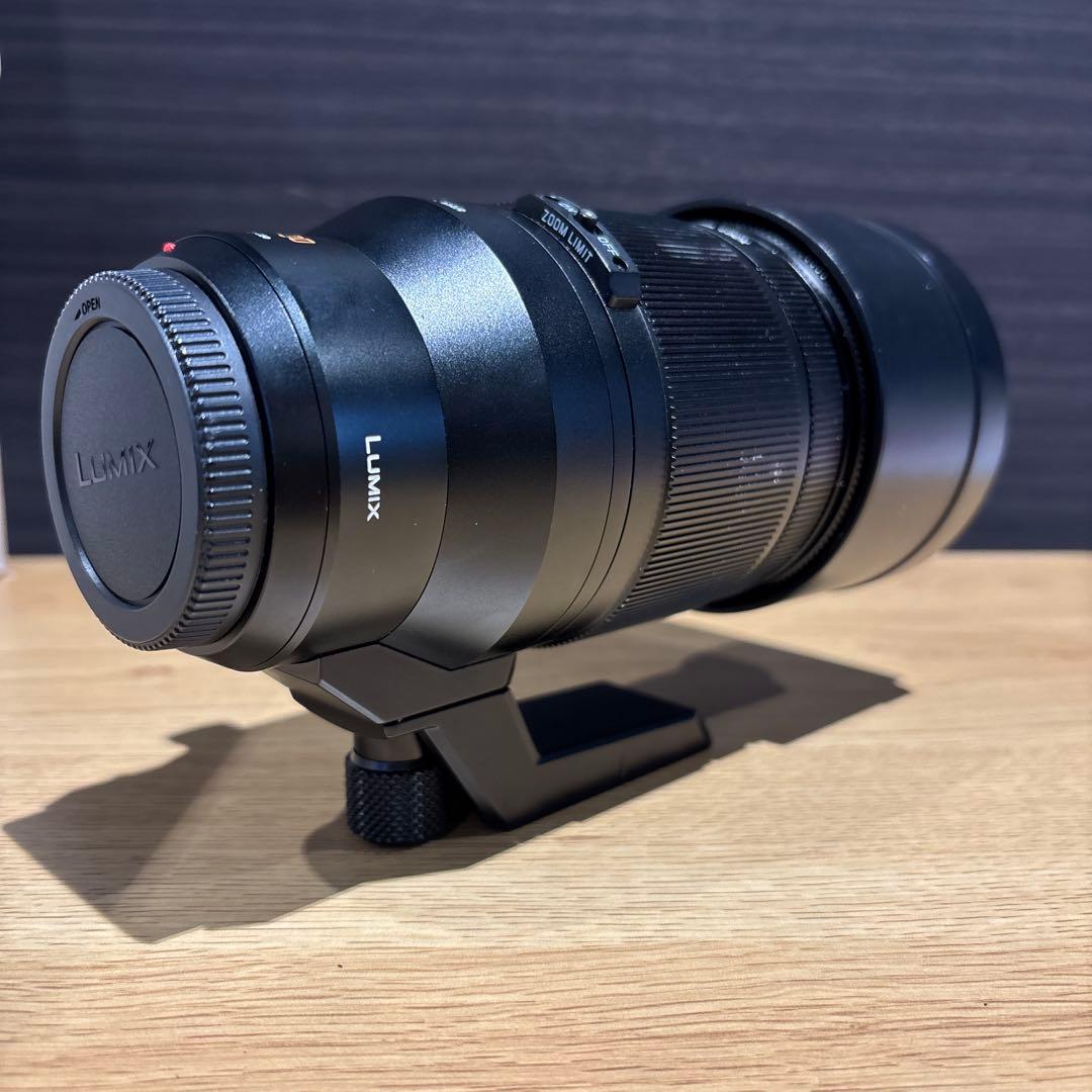 s*e様 Panasonic LEICA DG VARIO-ELMAR 100-
