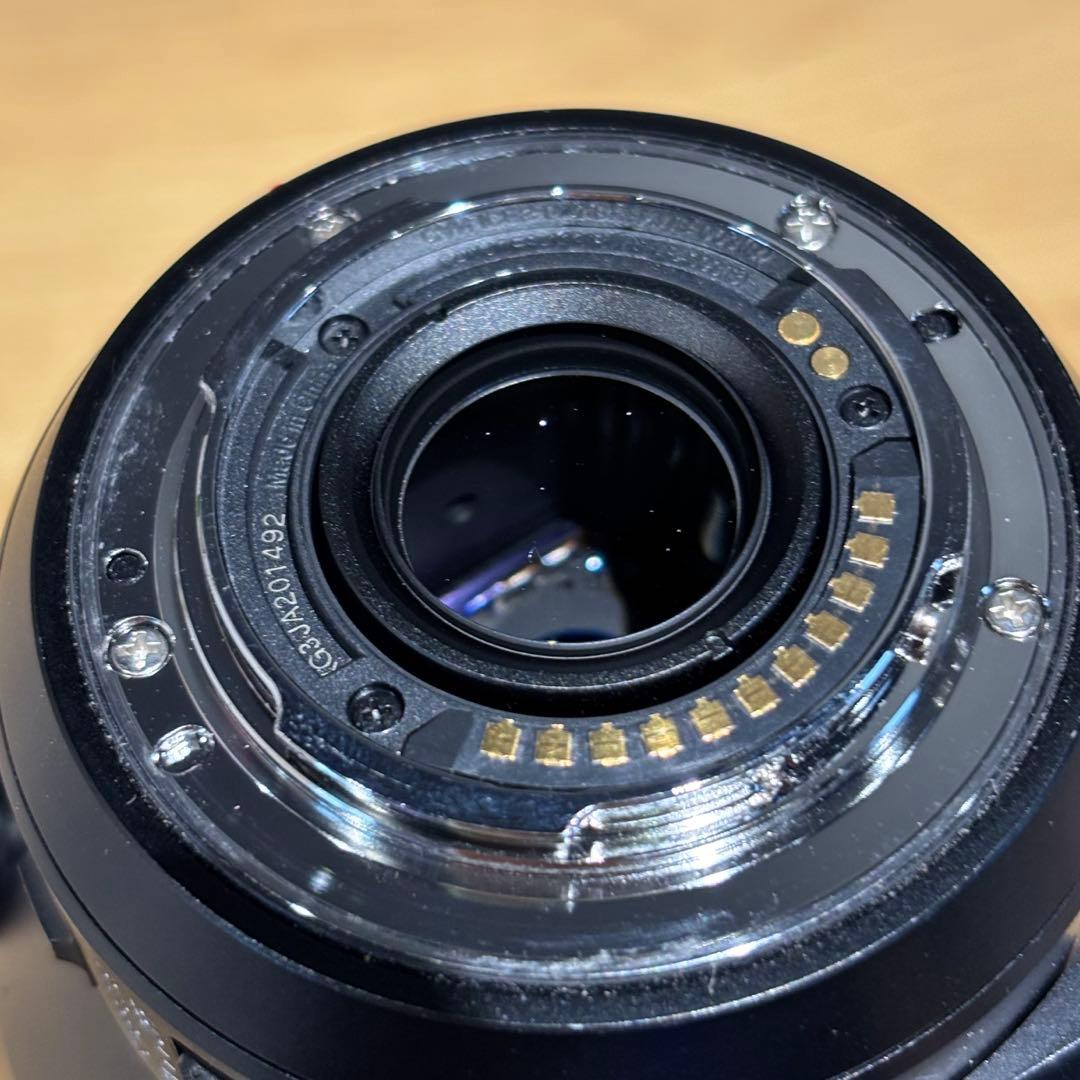 s*e様 Panasonic LEICA DG VARIO-ELMAR 100-