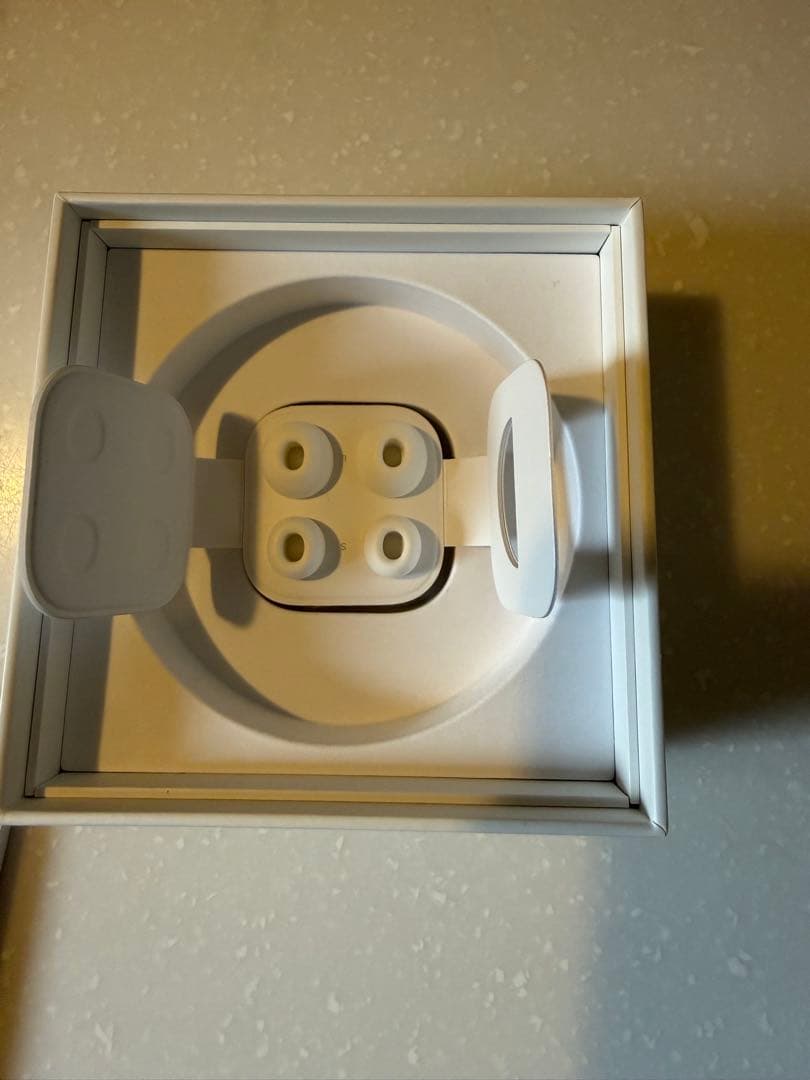 AirPods Pro 第2世代 MagSafe Lightning