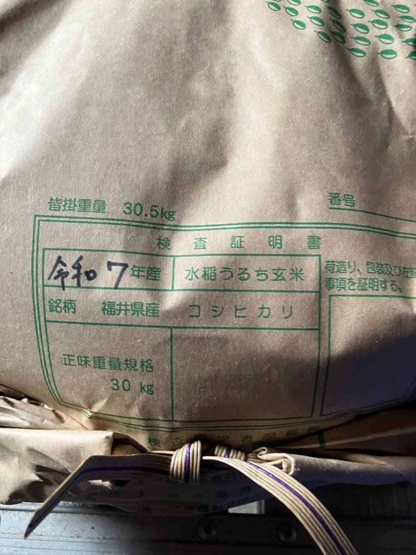 福井米 令和7年産 30kg コシヒカリ