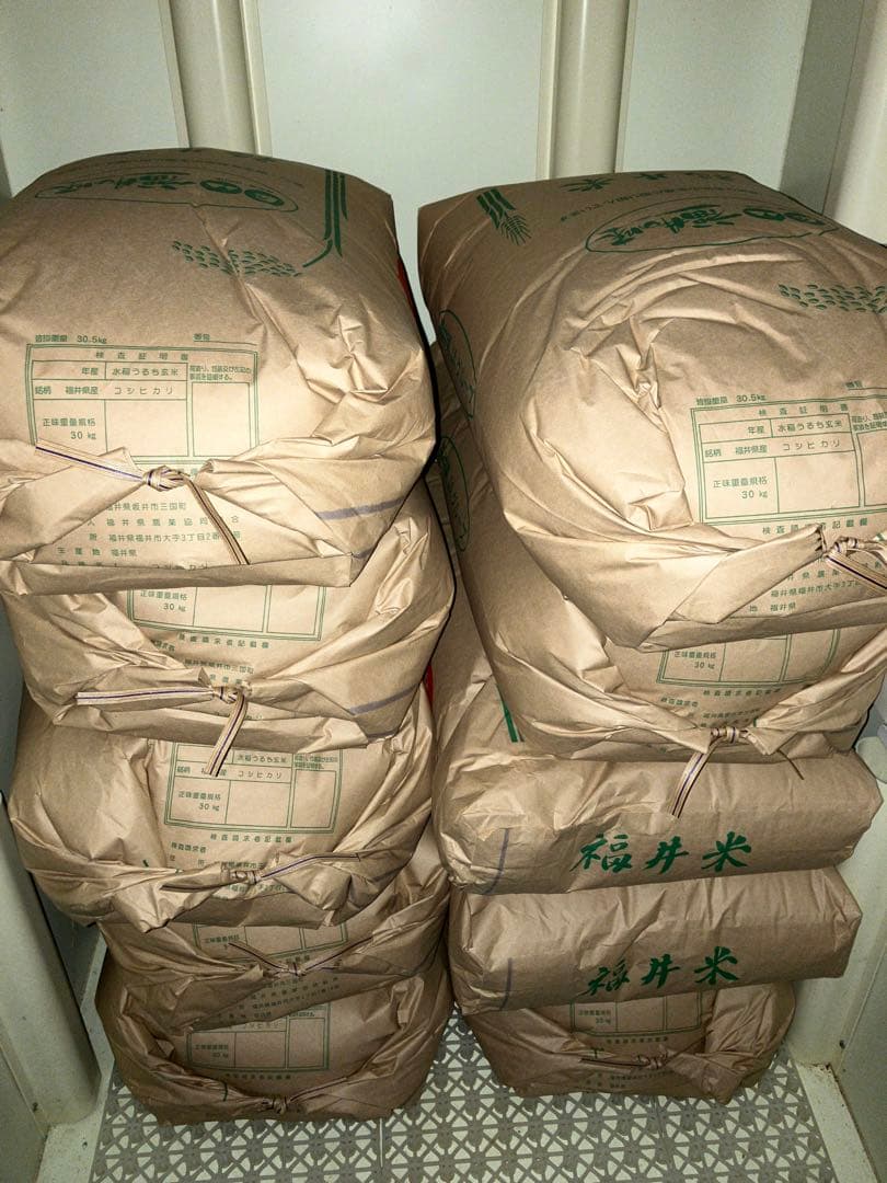 福井米 令和7年産 30kg コシヒカリ