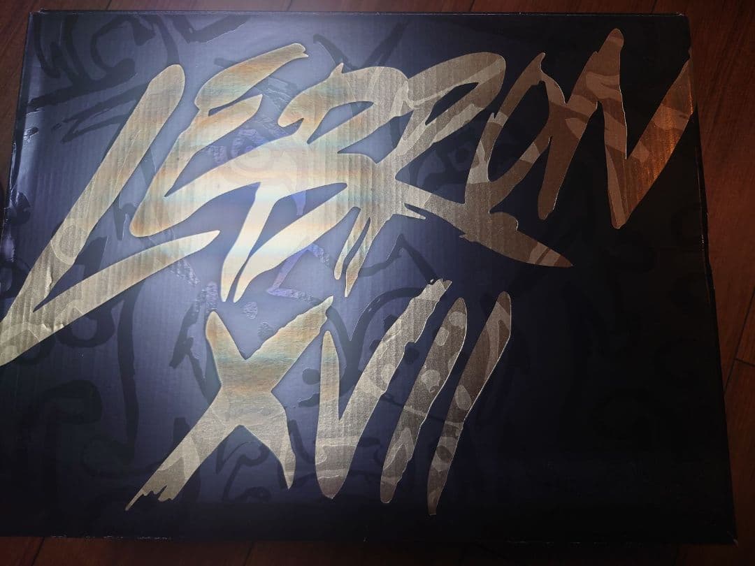 レブロン17 グラフィティLEBRON 17“NYC GRAFFITI29cm