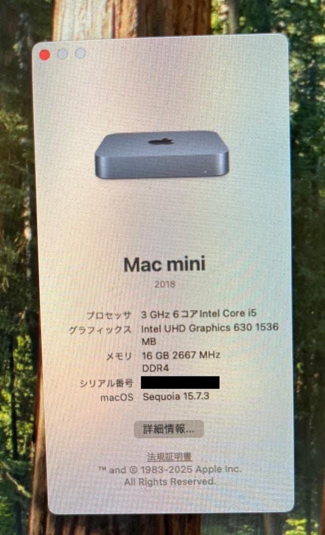 Mac Mini 2018 i5 6コア16G
