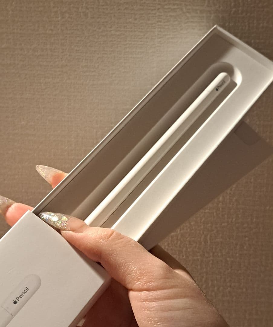 iPadアクセサリー Apple Pencil Type-C