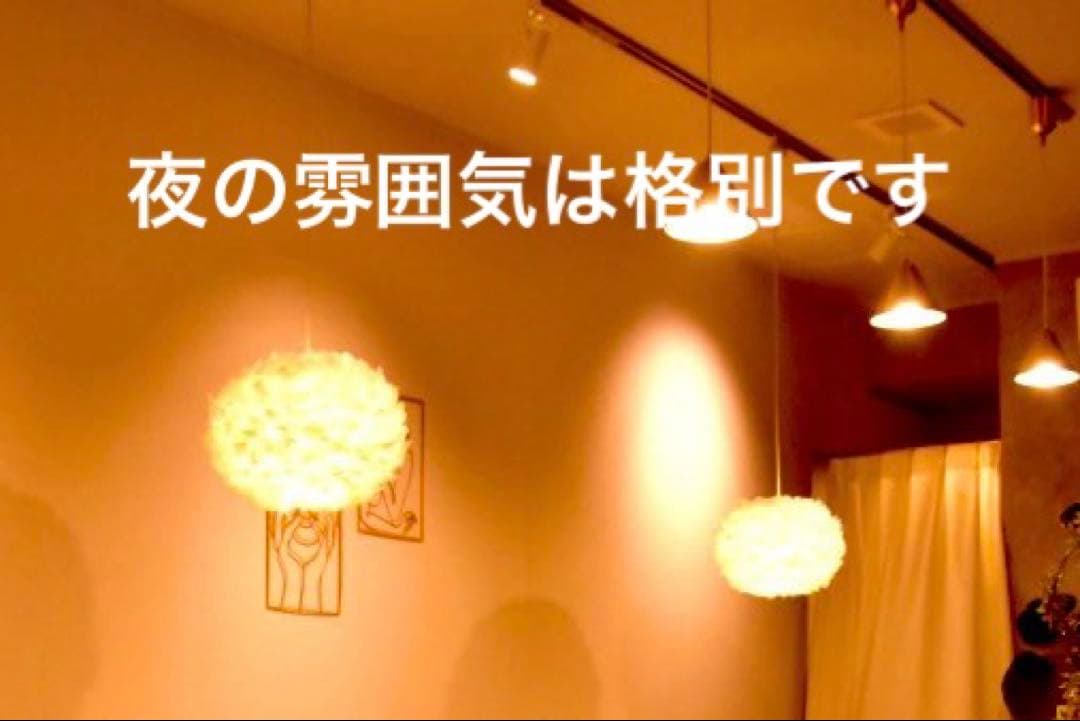 UMAGE ガチョウ羽毛ペンダントライトVITA 